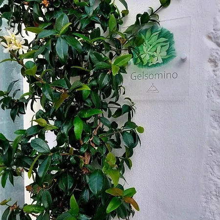 Mirum Apuliae Alberobello