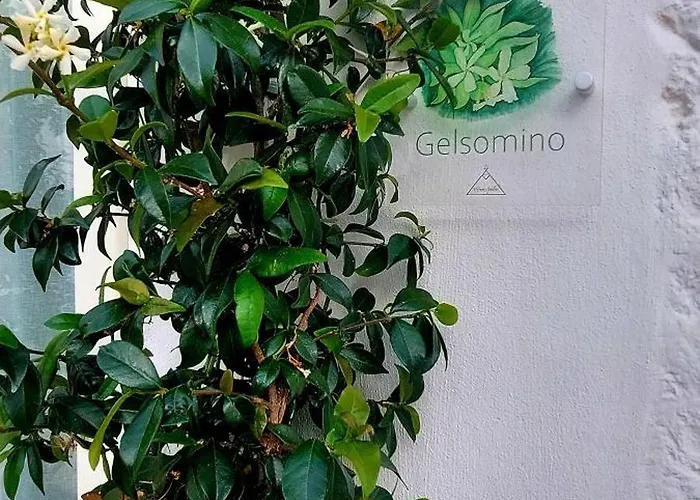 Mirum Apuliae Αλμπερομπέλο